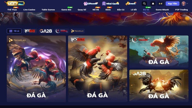 Thỏa sức cá cược các trận đấu đá gà đỉnh cao